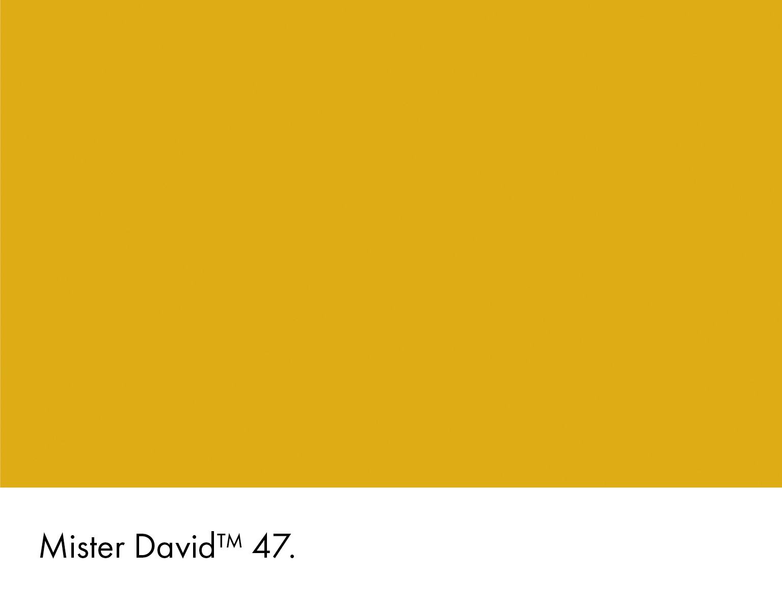 Mister David